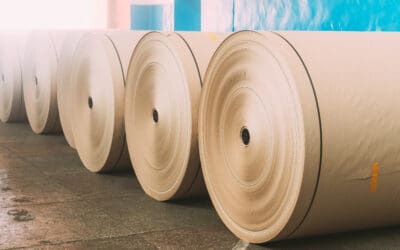 Sürdürülebilir Ambalaj Malzemeleri: Çevre Dostu Seçeneklerle Geleceğe Yatırım Yapın